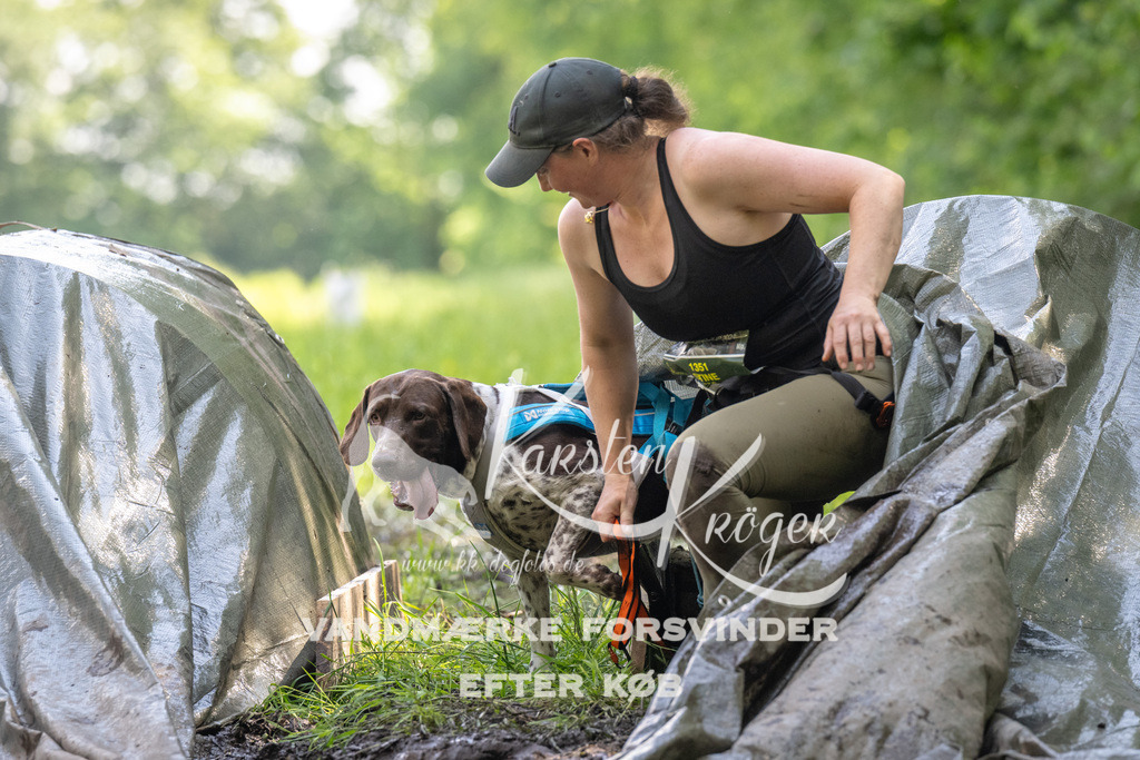 1155_ZZ90361 | kk-dogfotos