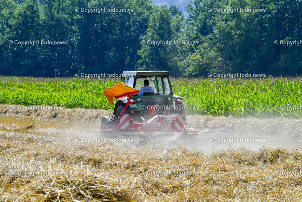 Deutschland_ Baden-Wuerttemberg_ Heiningen_ 11.08.2025-9 | 11.08.2025, Deutschland, GER, Baden-Wuerttemberg, Landkreis Goeppingen, Heiningen, im Bild Themenbild, Feldarbeit, Maehdrescher, Traktor, Heuballen, Heuwenden, Landwirtschaft, Ernte, Ackerbau, Bauernhof, Erntemaschine, Schwaden, Stroh, Heuernte, Ballenpresse, Anhaenger, landwirtschaftliche Technik, Sommer, Landwirt, Bauer, Staub, Feldweg, Sonnenlicht, Landleben, Agrarwirtschaft, Traktorengeraeusch, Maschinenarbeit, Feature, Symbolbild