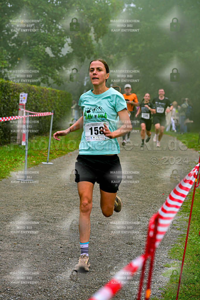 Z8N_1613 | la-psv - Realisiert mit Pictrs.com