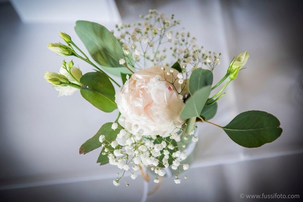 IMG_4654 | "Fussifoto.com – Ihr Ansprechpartner für hochwertige Fotografie! Entdecken Sie kreative Bilder und professionelle Dienstleistungen. Kontaktieren Sie uns für Ihre Projekte!"