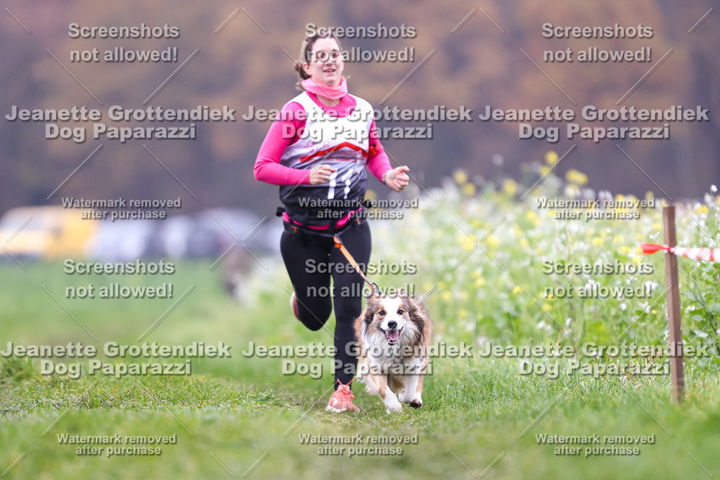 Dog Paparazzi - Visbeck 25 -809 | Dog Paparazzi Jeanette Grottendiek Fotografie & Videografie - Realisiert mit Pictrs.com