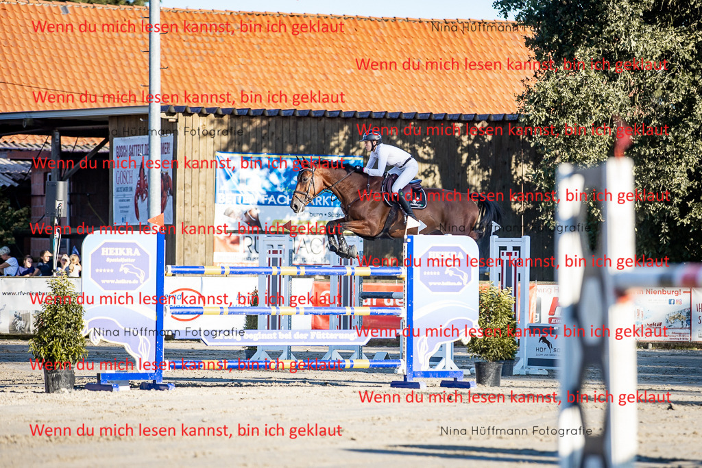 BK1A8448 | Turnierbilder Turnierfotos Nina Hüffmann Turnierfotografie Pferdefotografie Tierzeichnung Haustierzeichnung Pferdezeichnung Hundezeichnung Videograf  - Realisiert mit Pictrs.com