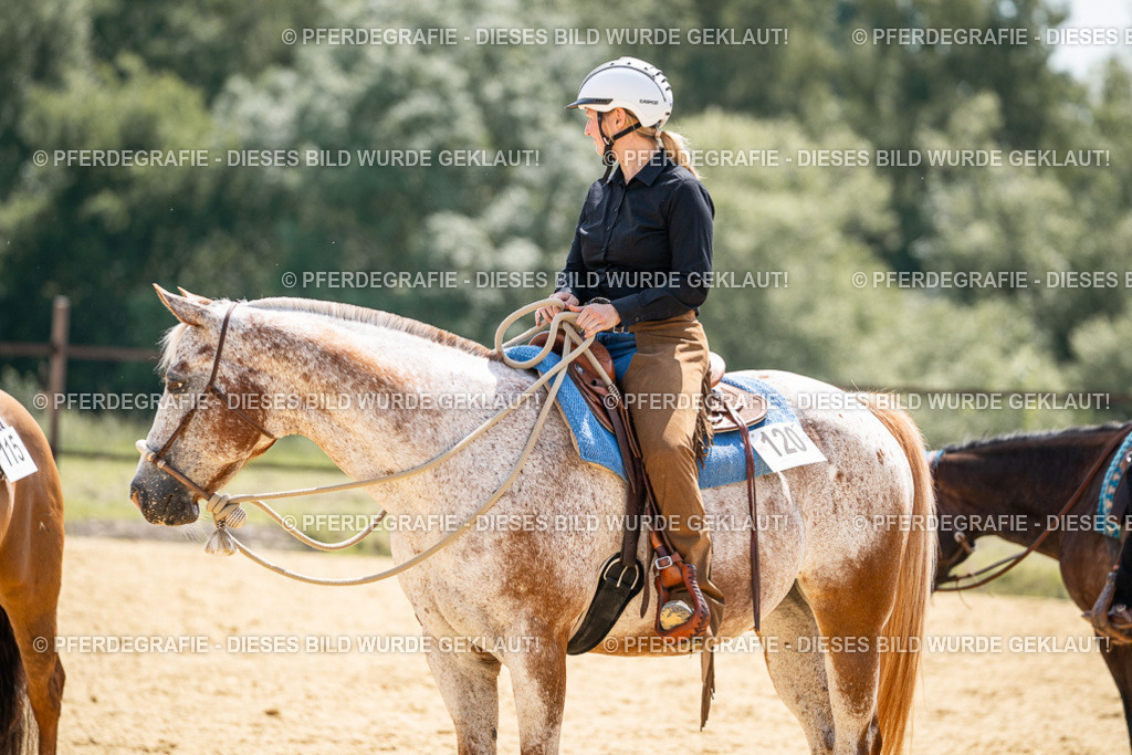 DSC00837 | Pferdegrafie