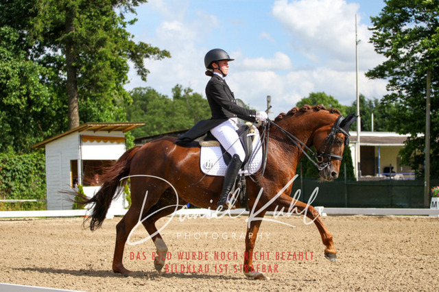 DKP41426 | Turnierfotos kaufen im Webshop von Daniel Kuhl Photography – entdecke professionelle Reitsportfotos aus Turnieren & Events. Hochwertige Turnierbilder online bestellen & sichern. Jetzt Fotos von Reitsportturnieren kaufen!