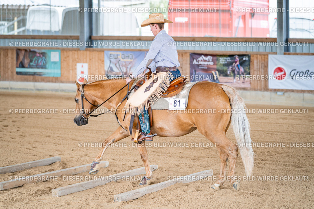 DSC08076 | Pferdegrafie