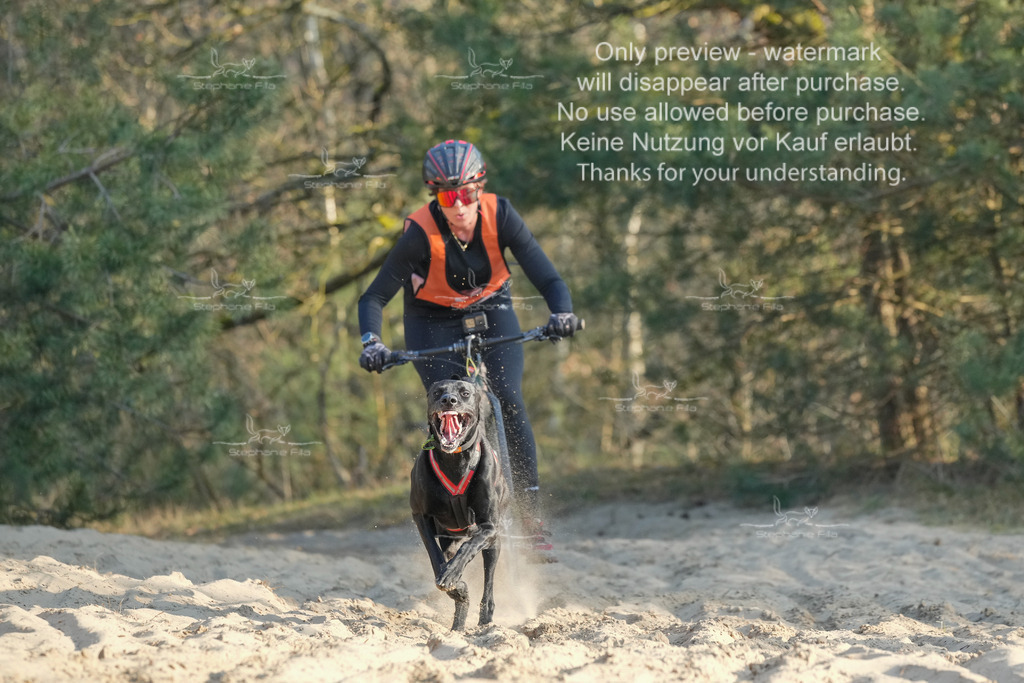 So_Scooter-70 | stephaniefillaphotographie - Realisiert mit Pictrs.com