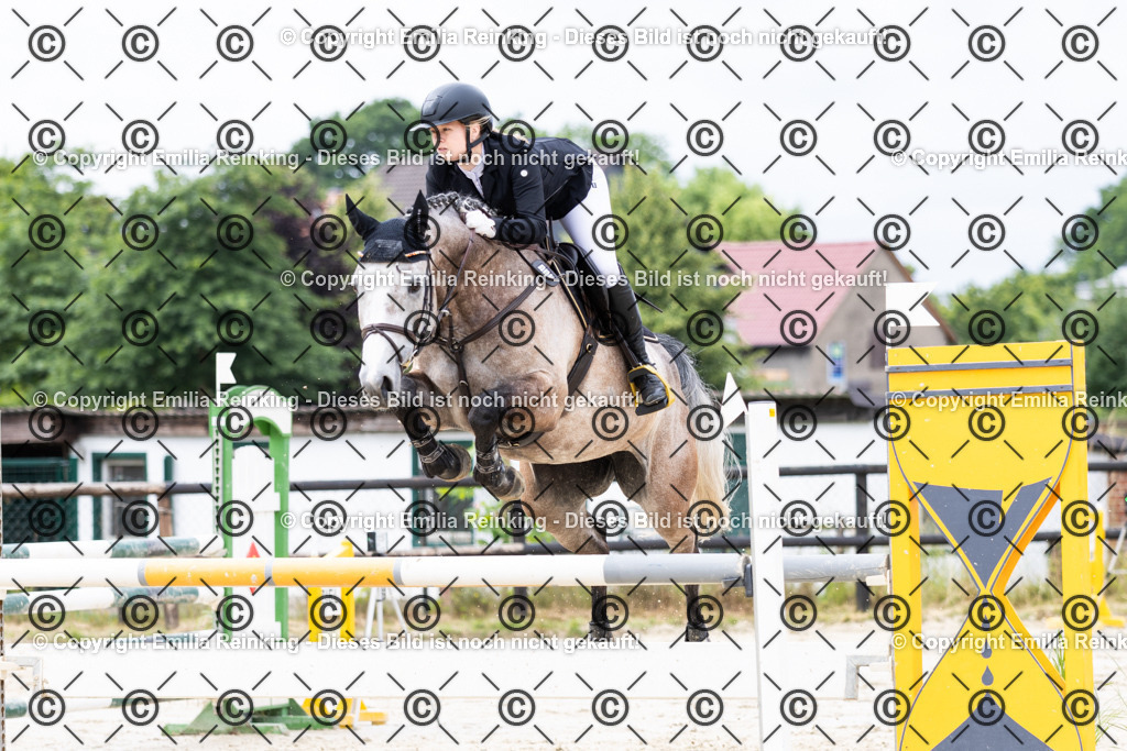 CL5A5439 | Emilia Reinking Fotografie - Realisiert mit Pictrs.com