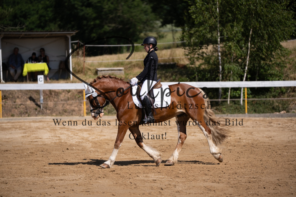 A7V07864 | Pferdefotograf