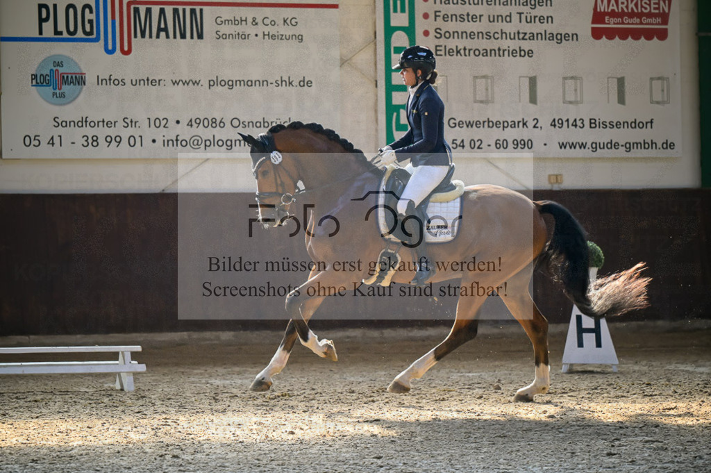 Reitturnier Voxtrup | Entdecke hochwertige Reitturnierfotos von Foto Oger. Professionell, emotional und authentisch – jetzt Lieblingsmomente im Shop bestellen.Deutschlandweite Turnierfotografie. - Realisiert mit Pictrs.com