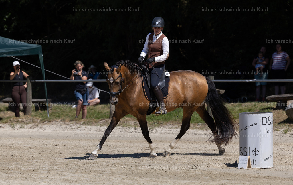 WE_Trail_23_KerstinBernhardt-19 | working equitationturnier fotograf videograf stoibphotography marixx film working equitation deutschland reitsport turnierfotografie eventfotografie equestrian events