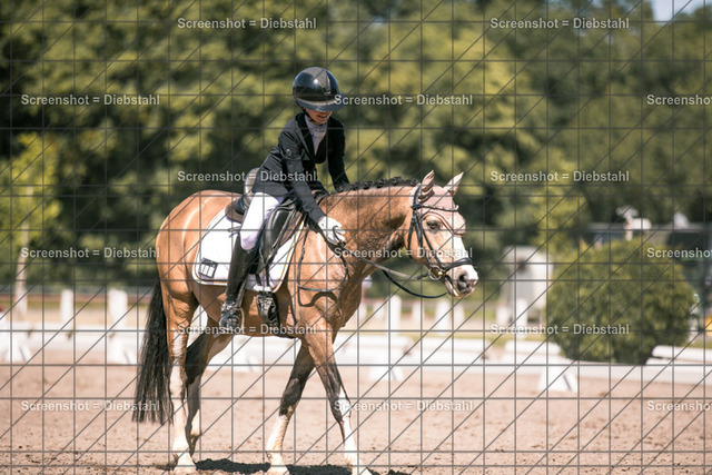_W6A2658 | ronjaprokoschfotografie - Realisiert mit Pictrs.com