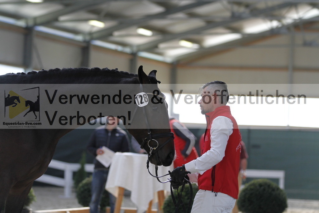 _MG_9808 | equestrian-live-com