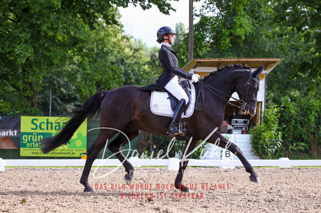DKP41524 | Deine Turnierfotos vom Reitturnier online kaufen: Dressur, Springen & Siegerehrung. Professionelle Pferdefotografie aus dem Rheinland – als Download & Print.Alternative: Turnierfotograf für den Pferdesport: Finde deine Fotos von Dressur- und Springturnier