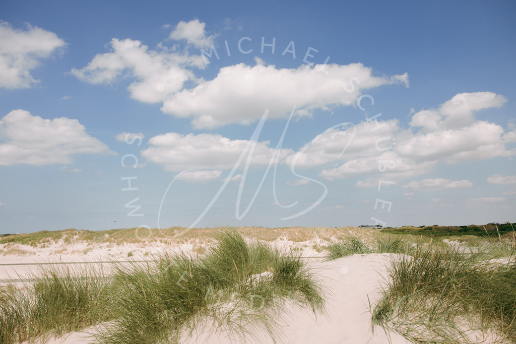 2021-07-24 Strand Duenen Moewen SPO - 009 | Dünen am Strand von St. Peter-Ording - Realisiert mit Pictrs.com