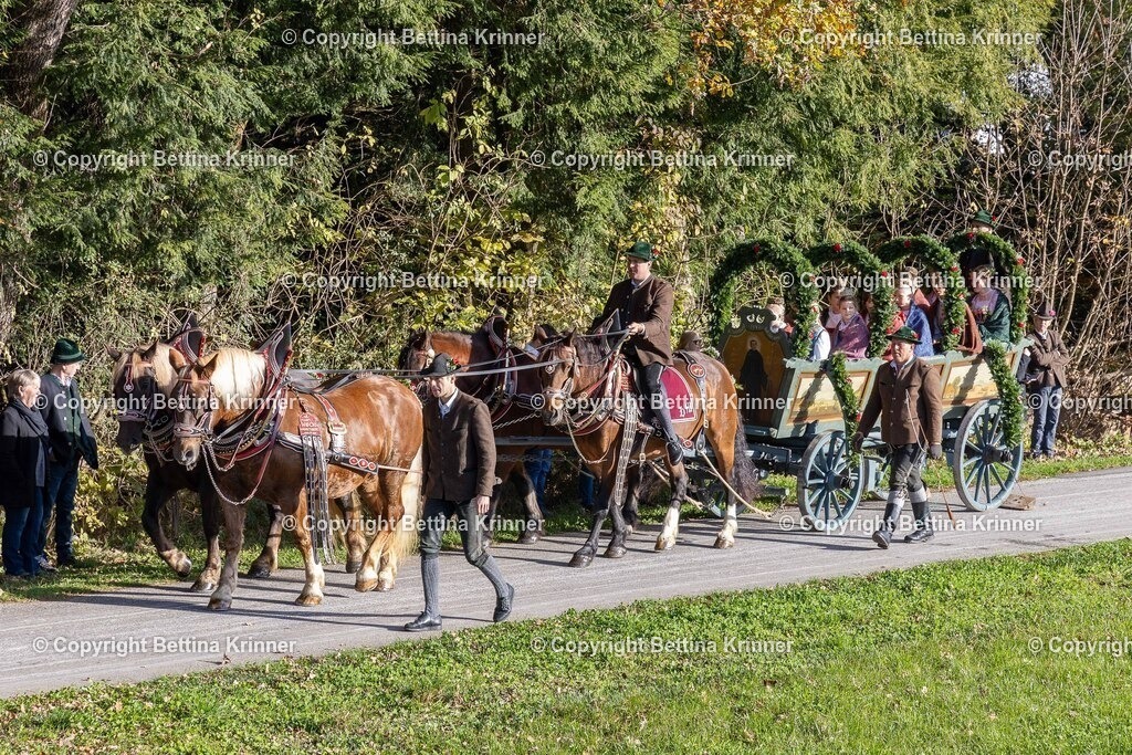 LBT24-195 | foto-bettina-krinner - Realisiert mit Pictrs.com