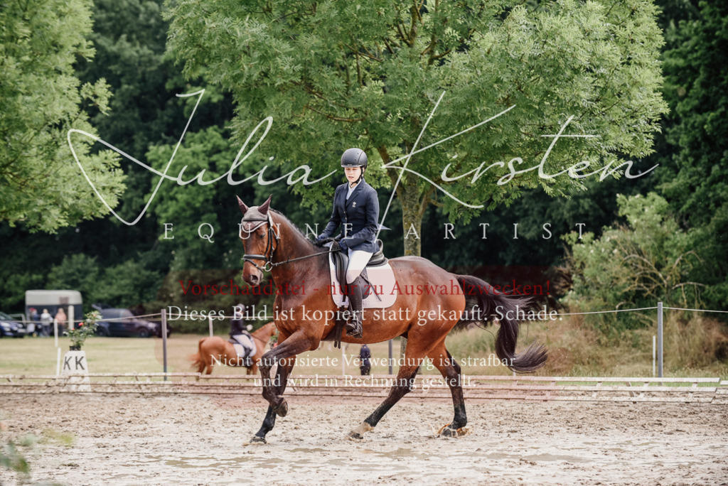 DSC_9614 | Pferde- und Turnierfotografie in Westsachsen. Pferdeportraits, Auftragszeichnungen und intuitive Kunst.