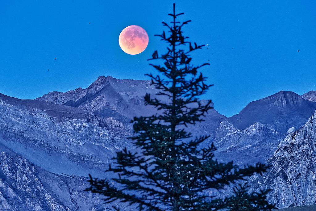 Blutmond | In diesem Shop werden vorwiegend künstlerisch hochstehende Aufnahmen aus dem Bereich der Naturfotografie zum Verkauf angeboten. - In this store mainly artistic high quality shots from the field of nature photography are offered for sale. - Realisiert mit Pictrs.com