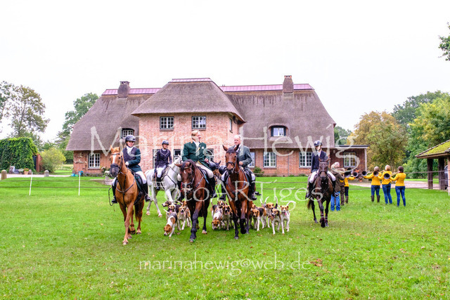 Jagd Perdoel 26 Fuji-9663_MarinaHewig | Fotografie, FotoArt, PferdesportArt, Pferdesportfotografie, Landschaftsfotografie, Reisefotografie, Reise, Pferde - Realisiert mit Pictrs.com