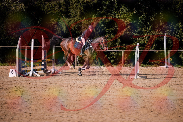 2026_10_03_Siefer-Hof_160007_Z81_80672133 | Professionelle Reitsport-, Turnier- und Eventfotografie von Robert Broda. Galerien mit ausgewählten und bearbeiteten Bildern direkt online ansehen und bestellen.