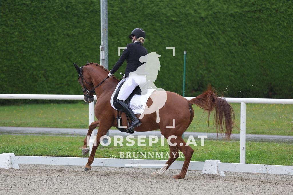 0P6A0154 | Willkommen bei Brunnmayr - Design & Fotografie – Ihrem Spezialisten für Reitturniere und Pferdeveranstaltungen in Oberösterreich, Salzburg und Bayern! Seit über 17 Jahren sind wir leidenschaftlich dabei.