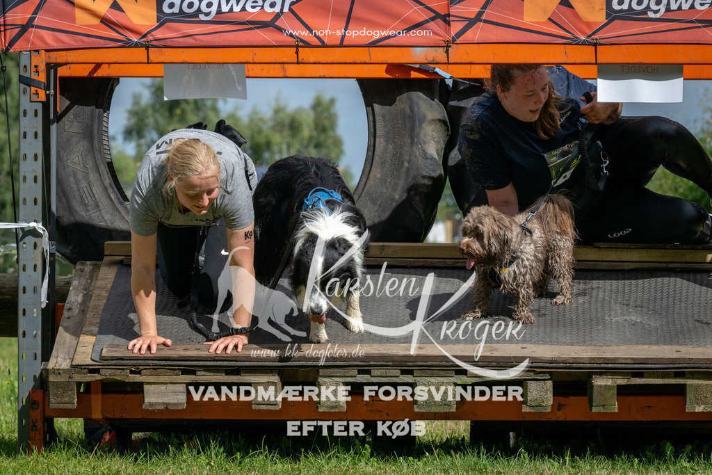 1115_ZZ92164 | kk-dogfotos