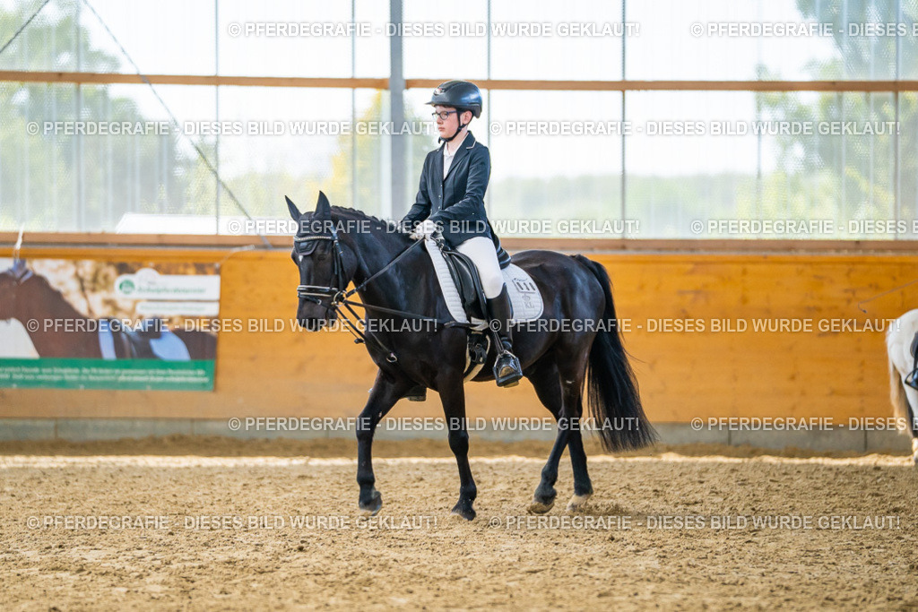 DSC01344 | Pferdegrafie