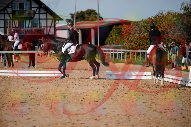 2026_10_03_Siefer-Hof_115452_Z63_30105266 | Professionelle Reitsport-, Turnier- und Eventfotografie von Robert Broda. Galerien mit ausgewählten und bearbeiteten Bildern direkt online ansehen und bestellen.