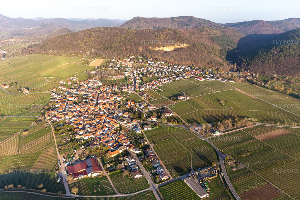 Luftbild: Dorfansicht in Frankweiler im Bundesland Rheinland-Pfalz in Deutschland. Foto: IMG_126281.jpg vom 04.04.2021 durch Werner Riehm/FLY-FOTO.de