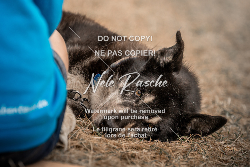 nelerasche_slaw24Fr1_298 | nelerasche