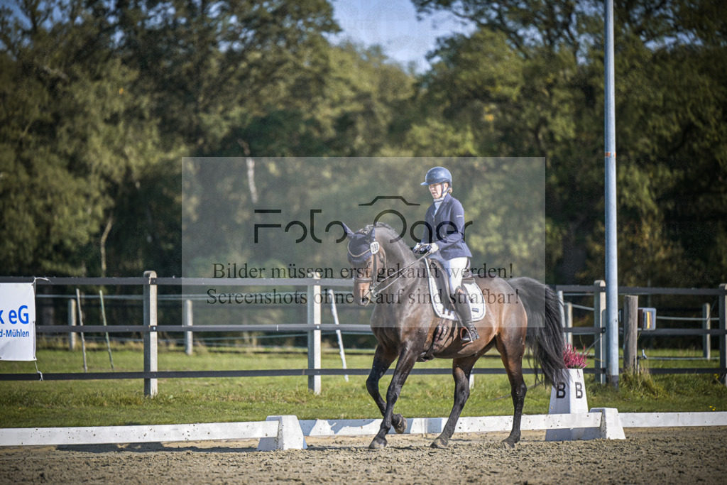 DOS_2733 | Entdecke hochwertige Reitturnierfotos von Foto Oger. Professionell, emotional und authentisch – jetzt Lieblingsmomente im Shop bestellen.Deutschlandweite Turnierfotografie. - Realisiert mit Pictrs.com