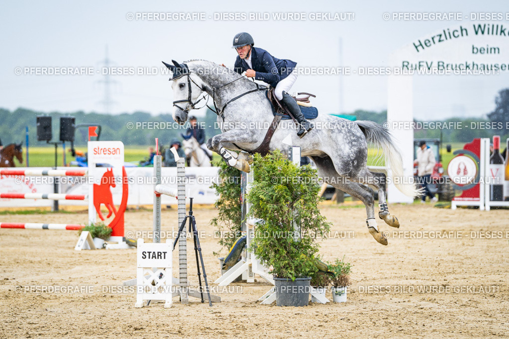 DSC08570 | Pferdegrafie