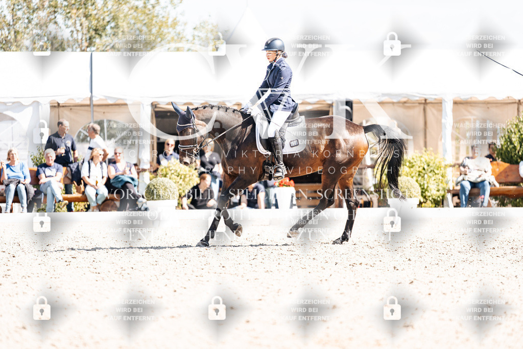 CK903336 | Turnierfotografie Pferdefotografie Trier Rheinland-Pfalz Pferdesport Reitsport Tierfotografie Sportfotografie Pferdevideo Pferdevideografie Equestrianvideography equestrianphotography  - Realisiert mit Pictrs.com