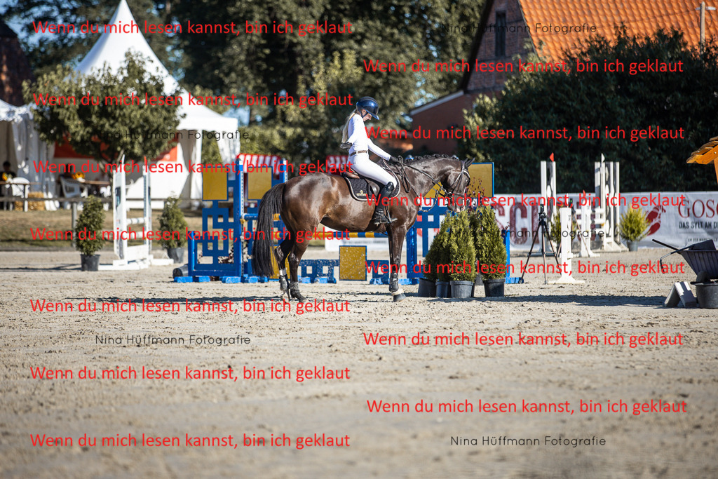 BK1A7574 | Turnierbilder Turnierfotos Nina Hüffmann Turnierfotografie Pferdefotografie Tierzeichnung Haustierzeichnung Pferdezeichnung Hundezeichnung Videograf  - Realisiert mit Pictrs.com