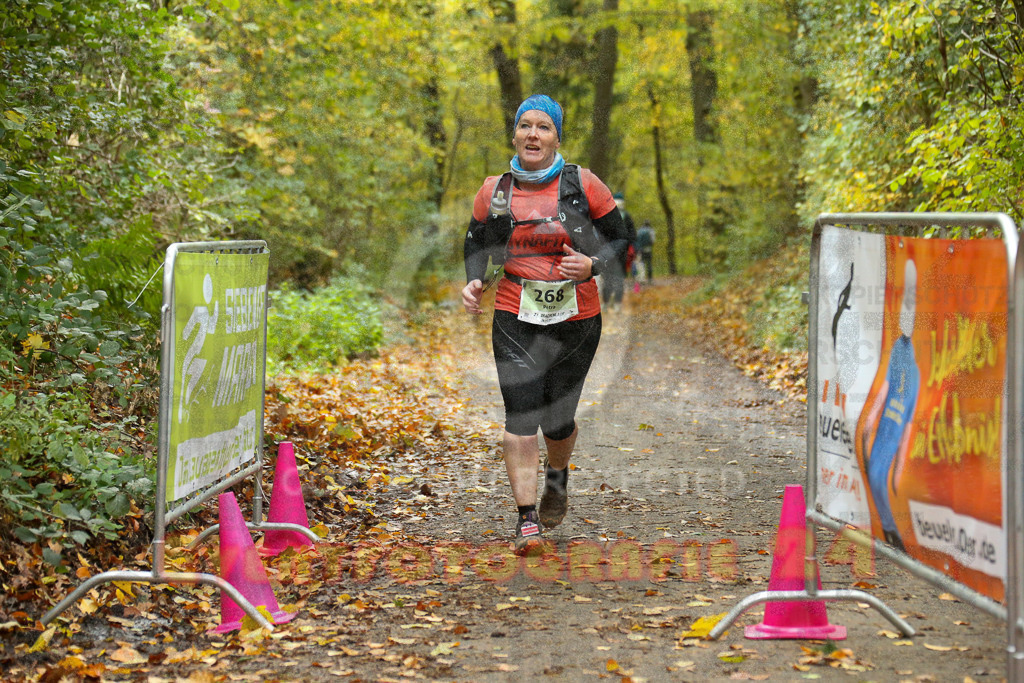 251026_1406_EX1_4100 | Sportfotografie im Rhein-Sieg Kreis, Köln, Bonn, NRW, Rheinland Pfalz, Hessen, etc. Unser Tätigkeitsfeld umfasst den Laufsport vom Volkslauf über den Marathon, Duathlon, Triathon bis zum Ultralauf wie Kölnpfad Ultra oder Schindertrail.
