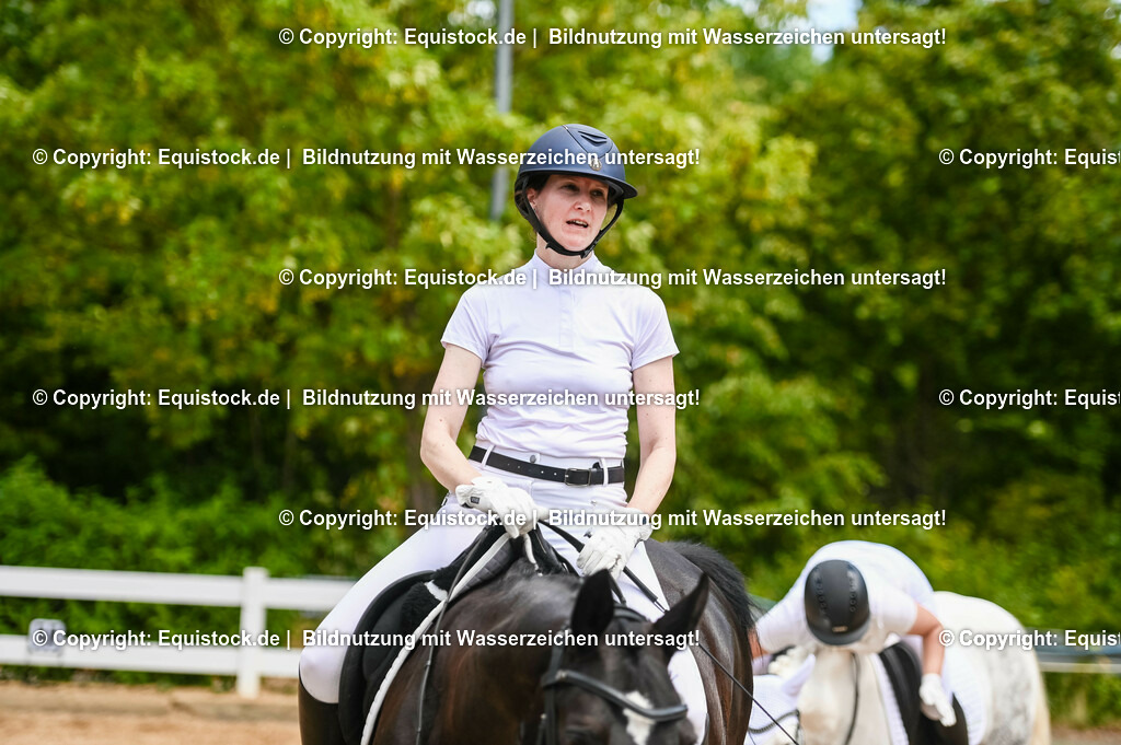 20230715_05_Dressurprüfung Kl.A++_0294 | equistock