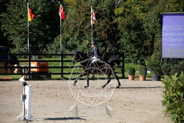 2B4A0639 | pixelfaenger - Realisiert mit Pictrs.com