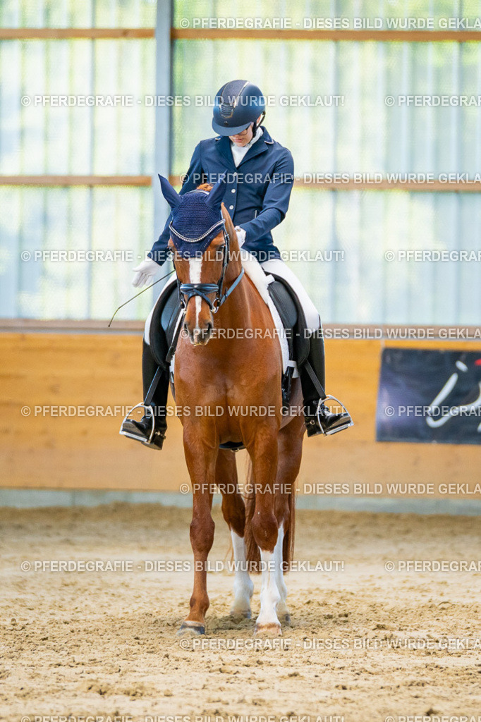 DSC06477 | Pferdegrafie