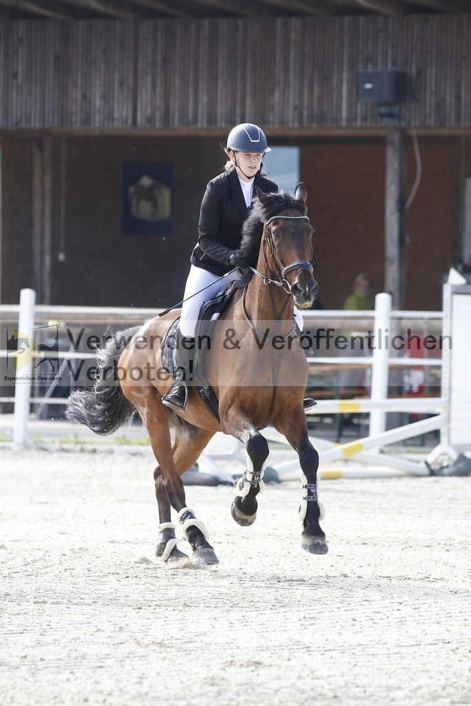 _MG_3095 | equestrian-live-com