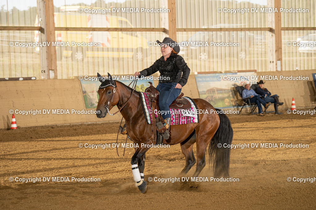 LAU01916 | dv-media-shop - Realisiert mit Pictrs.com