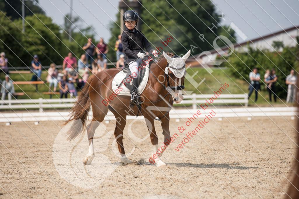 IMG_3354 | Sport-, Event- und Tierfotos in Profiqualität. Einfach auswählen, bestellen und herunterladen. Dein Moment – perfekt festgehalten.