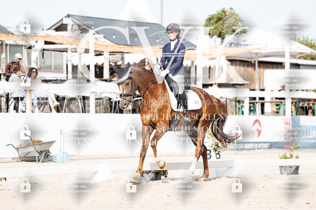 CK905191 | Turnierfotografie Pferdefotografie Trier Rheinland-Pfalz Pferdesport Reitsport Tierfotografie Sportfotografie Pferdevideo Pferdevideografie Equestrianvideography equestrianphotography  - Realisiert mit Pictrs.com