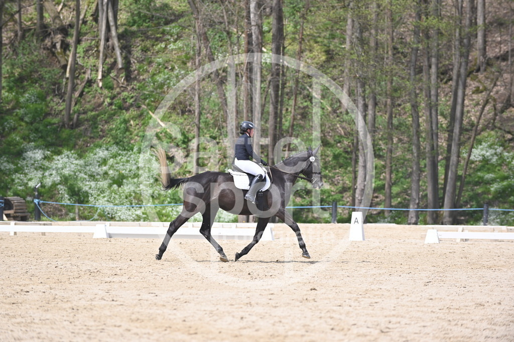 DSC_3043 | sattelsport - Realisiert mit Pictrs.com