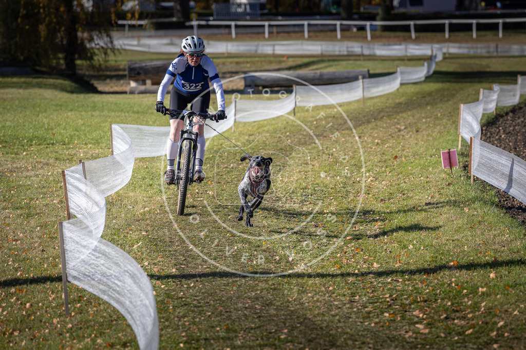 CaniXpix_DV3A6537 | Hundefotografie, Tierfotograf, Pfotenfotografie, Fotoshooting Hund, Hunde Portrait, Hundesport, Hundeportraits, Heideshooting, Hunde, Sportfotograf, Hundefotograf, Turnierhundsport, THS,  - Realisiert mit Pictrs.com