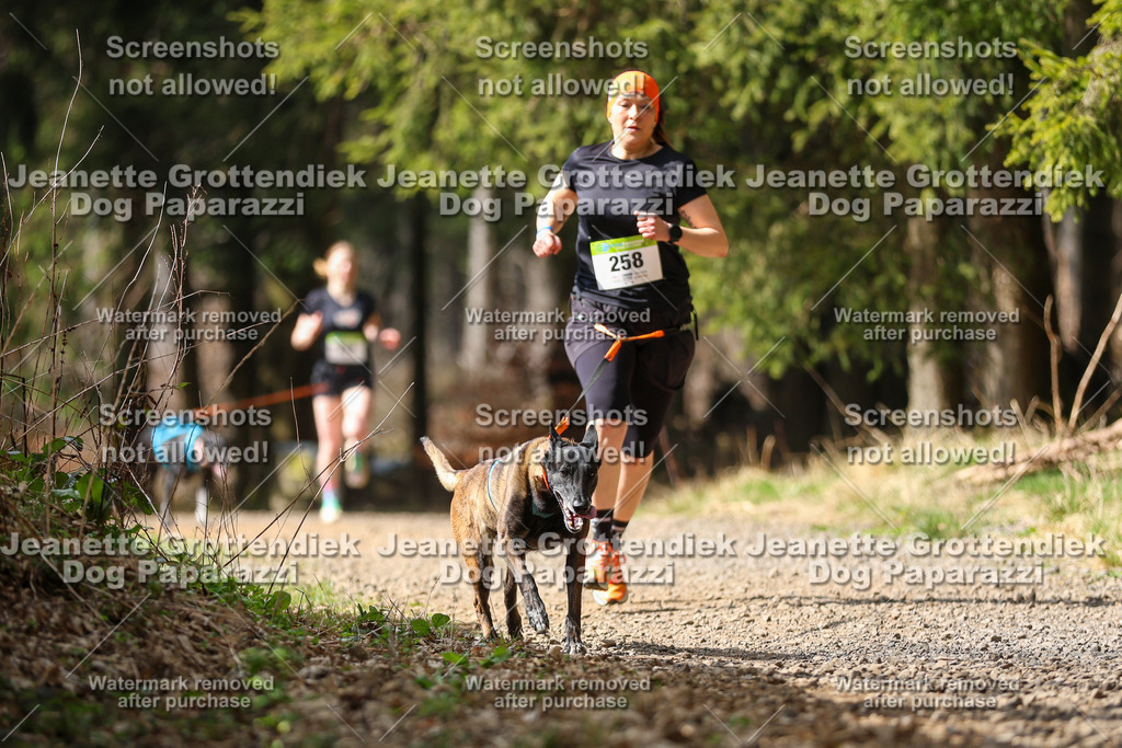Dog Paparazzi - VCC26-355 | Dog Paparazzi Jeanette Grottendiek Fotografie & Videografie - Realisiert mit Pictrs.com