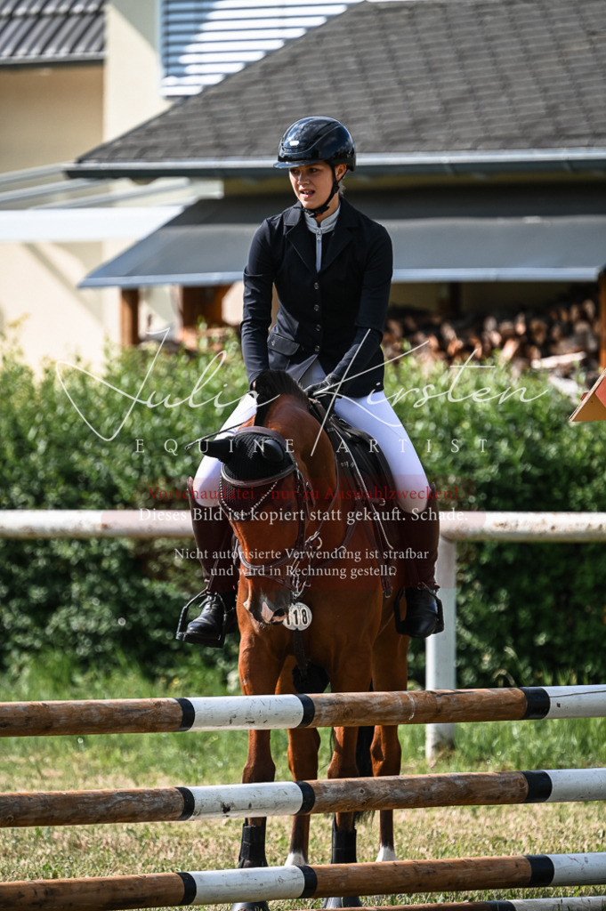 DSC_7914 | Pferde- und Turnierfotografie in Westsachsen. Pferdeportraits, Auftragszeichnungen und intuitive Kunst.