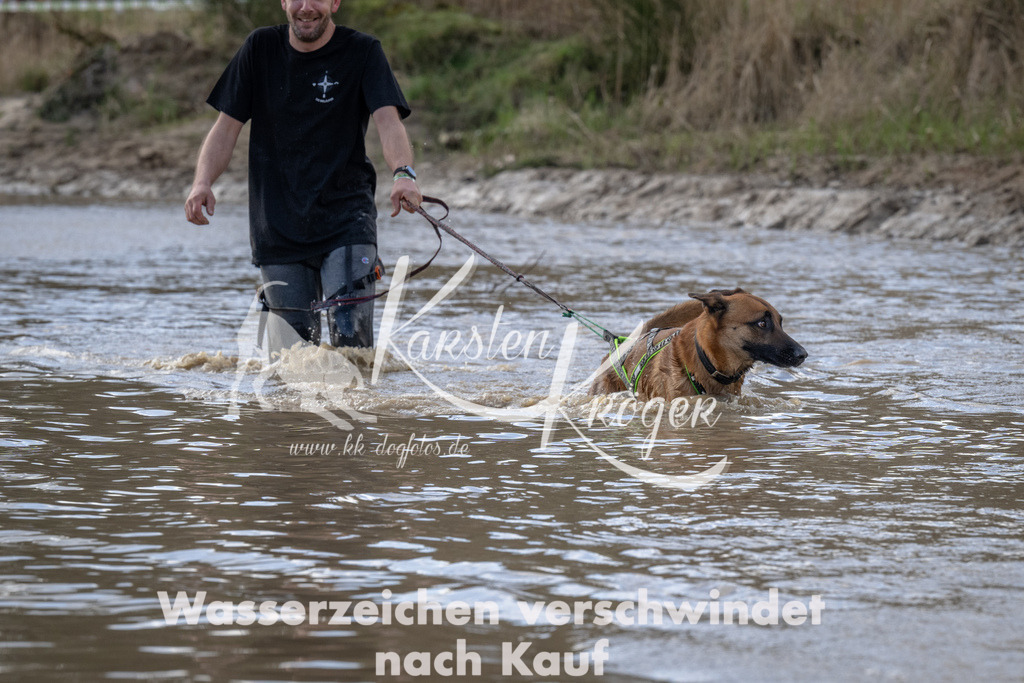 0958_ZZ92985 | kk-dogfotos