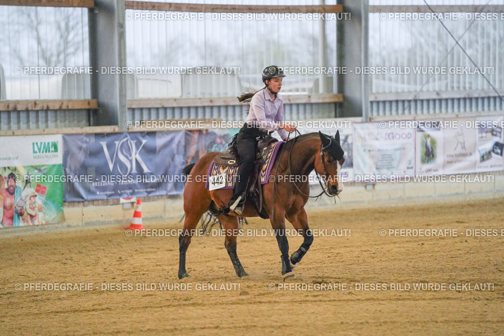 DSC09382 | Pferdegrafie