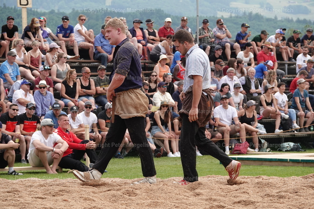 DSC04622 | Schwingen - Realisiert mit Pictrs.com