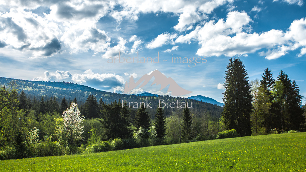 _Z5A6490 | Blick über den Bayerischen Wald zum Großen Arber