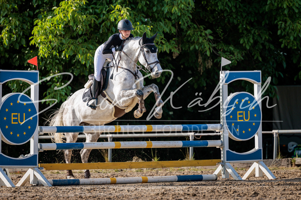 20260529-_3LI0883 | Tierfotografie Pferde, Hunde, Katzen, Haustiere.
Turnierfotografie Reitturniere, Reiten, Springreiten, Dressur in Hanau, dem Main-Kinzig-Kreis und dem Rhein-Main- Gebiet um Frankfurt